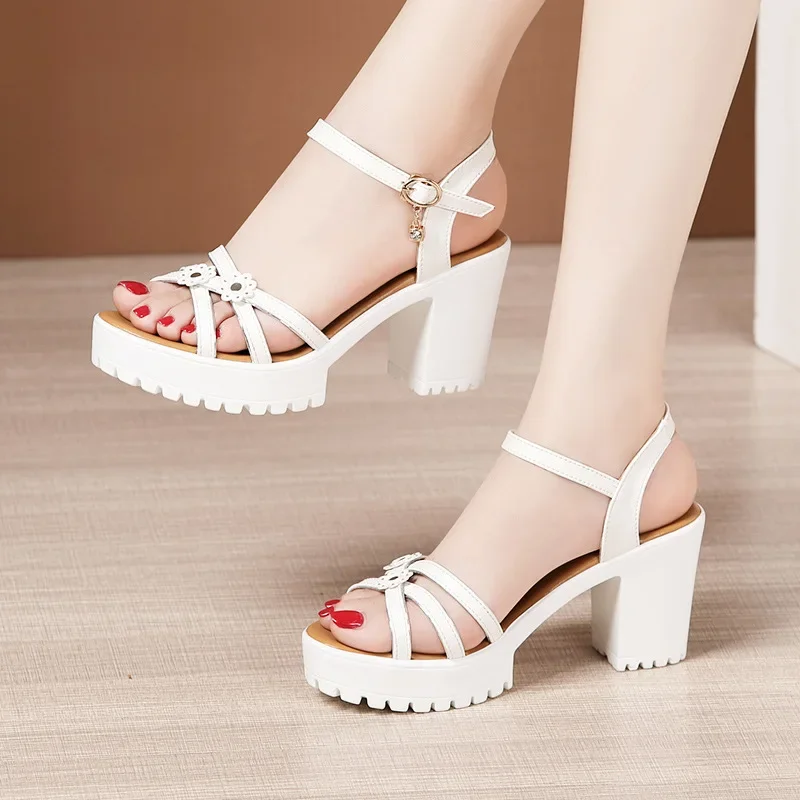8cm Small Size 32-43 Elegant F - đánh giá và giá Home Office Size